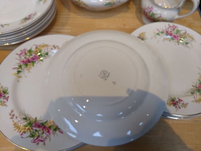 Beautiful 1950s Almost Complete Dinner Service by Arklow Pottery in Pattern Number 2508