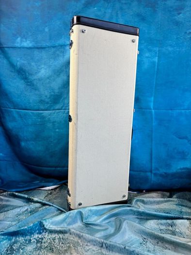 Boston California electric guitar case.