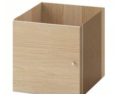 Kallax Insert with door IKEA