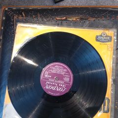 vinyl