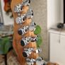 telecaster Image 7