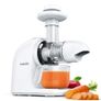 BRAND NEW Slow Masticating Juicer cold Press High Yield 9 Segment Spiral 2 Speed Modes Juicer Machines for Vegetables and Fruits Image 2
