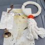 cage bird Image 6