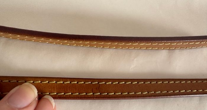 Louis Vuitton Eva bag