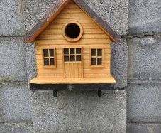 Bird house