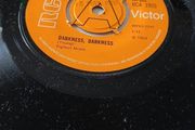 The Youngbloods Darkness Darkness 7" Demo
