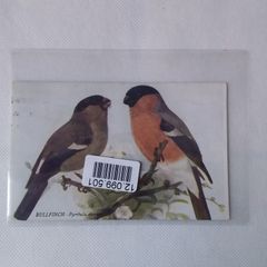 Birds of Britain Series Postcard : Bullfinch