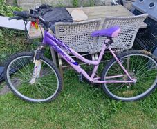 girls push bike