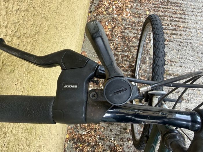 Raleigh Pioneer