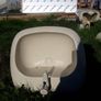 Sanitaryware Image 10
