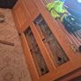 Oak doors Image 3