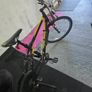 Saris H3 Smart Trainer Image 3