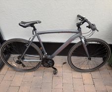 Adult bike large