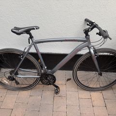 Adult bike large
