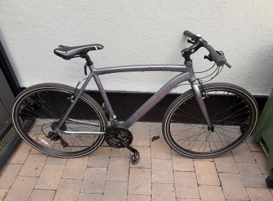 Adult bike large