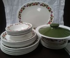 Retro Dinnerware Twenty five pieces