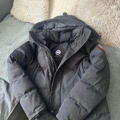 Canada goose