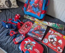 Spiderman Toy Bundle