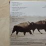 U2  2cd + Dvd  - The Best Of 1990-2000 Image 4