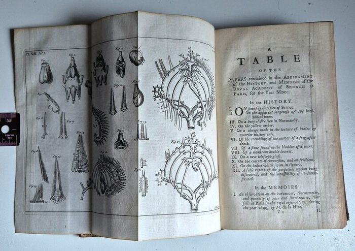 1742. The Philosophical History and Memoirs of the Royal Academy of Sciences at Paris. 1st Edition.  London, First Edition, Octavo, 8vo, Antiquarian, Rare Book, Scientific, Natural Philosophy, French Science, Translation, Abridgment, Copper-Plates.