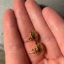 Ladies gold earrings Image 6