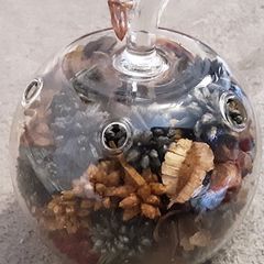 Glass apple potpourri holder