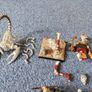 Warhammer Tomb Kings Image 3