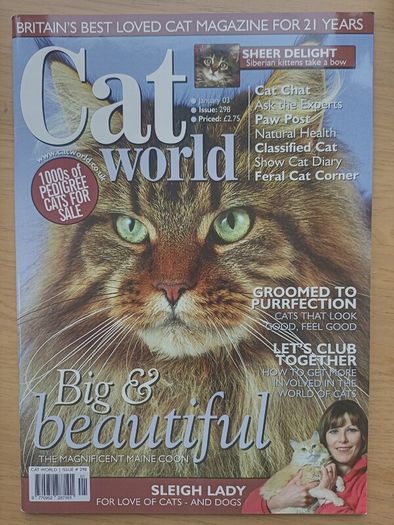 Cat World