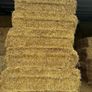 2026 Hay Image 5