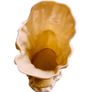 Belleek Vases Image 3