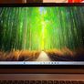 Lenovo Ideapad 15" Image 4