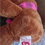 Brown Bear Image 5