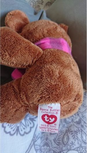 Brown Bear