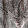Only grey and white tank top. Size M. Image 4