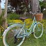 Raleigh Willow Ladies Bike Excellent Condition Size L Image 2