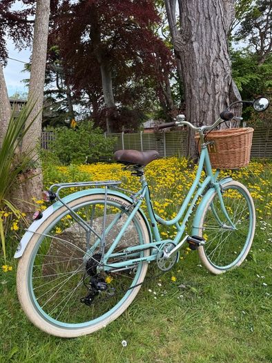Raleigh Willow Ladies Bike Excellent Condition Size L
