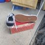 Vans Image 3