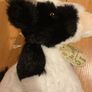 Small adorable Cow soft toy Brand New with tags Image 2