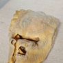Unfinished Predator Bits Image 3