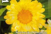 (C) Calendula White seeds 1g (415878)