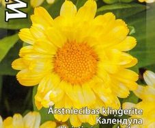 (C) Calendula White seeds 1g (415878)