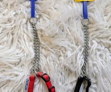 dog collars, 2 for 1 deal. New.