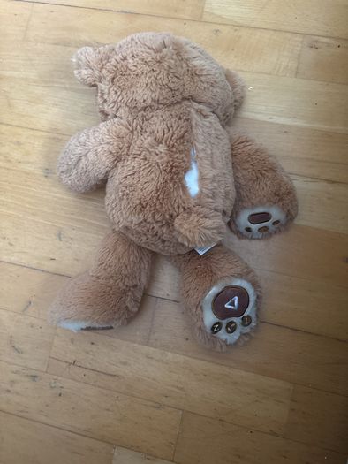 Garry Fleming's Talking Honeypot Teddy Bear Soft Plush Book Toy "Bear Feels"