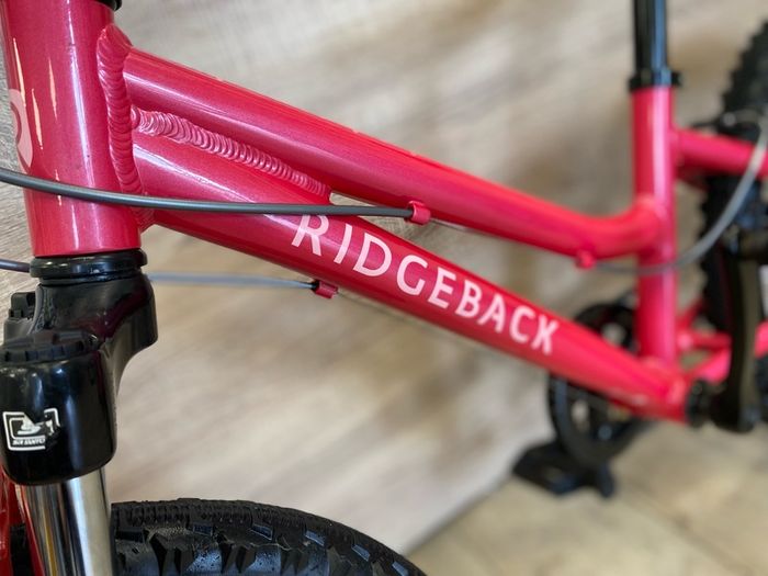 bike