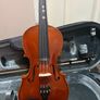 Violin Image 2