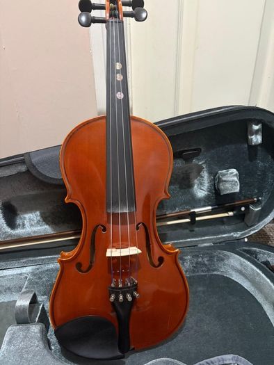 Violin