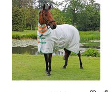 Horse Rug