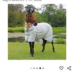 Horse Rug