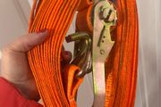 Heavy Duty Ratchet Strap 12.5m 5 Ton
