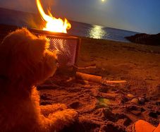 Fire Pit